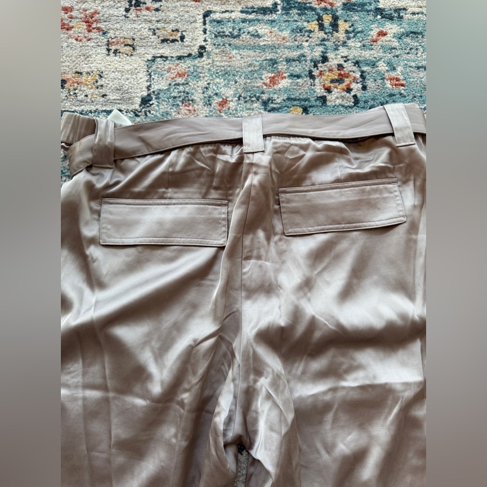 Abercrombie & Fitch Satin Tie Waist Cargo Pants
Size 18 - Picture 5 of 7